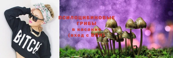 бошки Дмитров