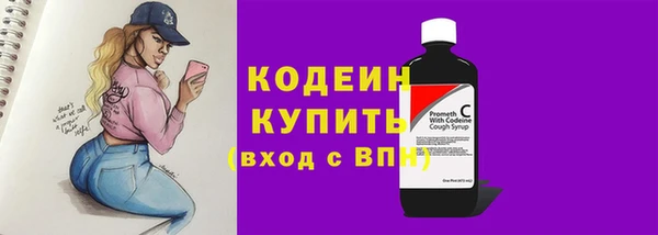 молекула духа Бородино