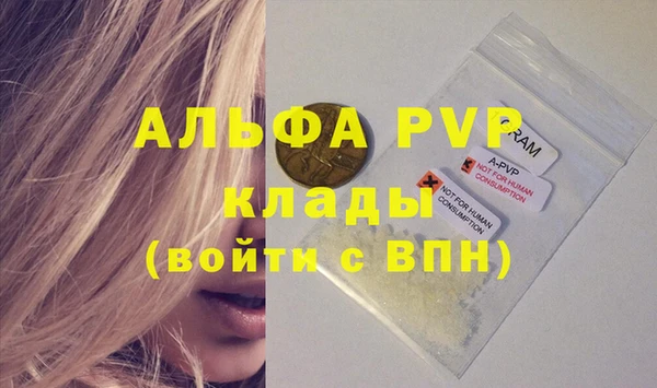 молекула духа Бородино