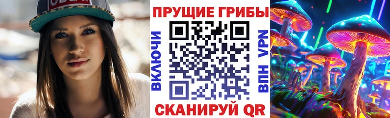 Купить где  Кологрив  Псилоцибиновые грибы мицелий 