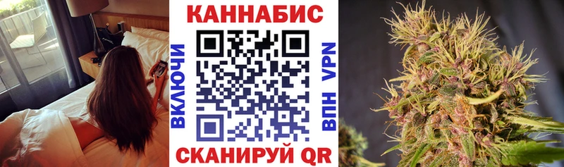 Каннабис план  Купить закладки  Кологрив 